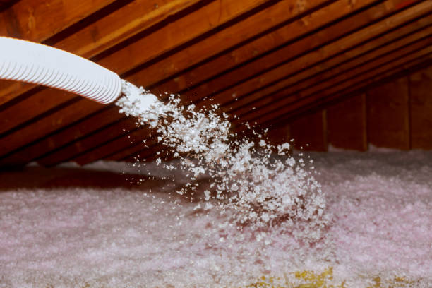 Best Specialized Insulation Services in Grandview, MO