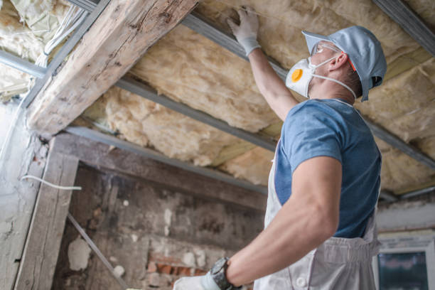 Best DIY Insulation Kits and Guidance in Grandview, MO