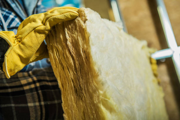 Best Insulation Maintenance and Repair in Grandview, MO