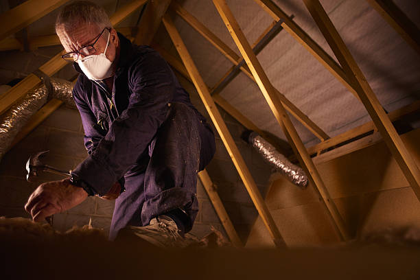 Best Energy Efficiency Insulation in Grandview, MO